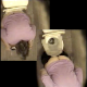 A 19-minute video featuring over 10 hole-in-wall, voyeuristic scenes of women shitting in various public restrooms taken by an amateur cameraman.
